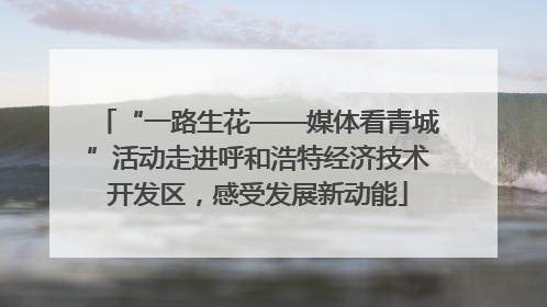“一路生花——媒体看青城”活动走进呼和浩特经济技术开发区，感受发展新动能